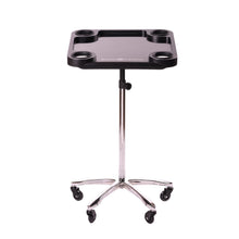 Load image into Gallery viewer, Braids &amp; Freckles • Magnetic Colorist Tray • Chrome
